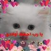 mona_ahmed